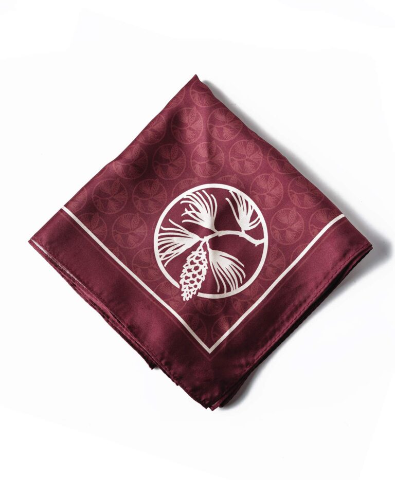Photo of Alma College custom printed square silk scarf