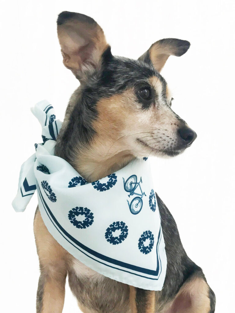 Photo of custom printed bandana on dog